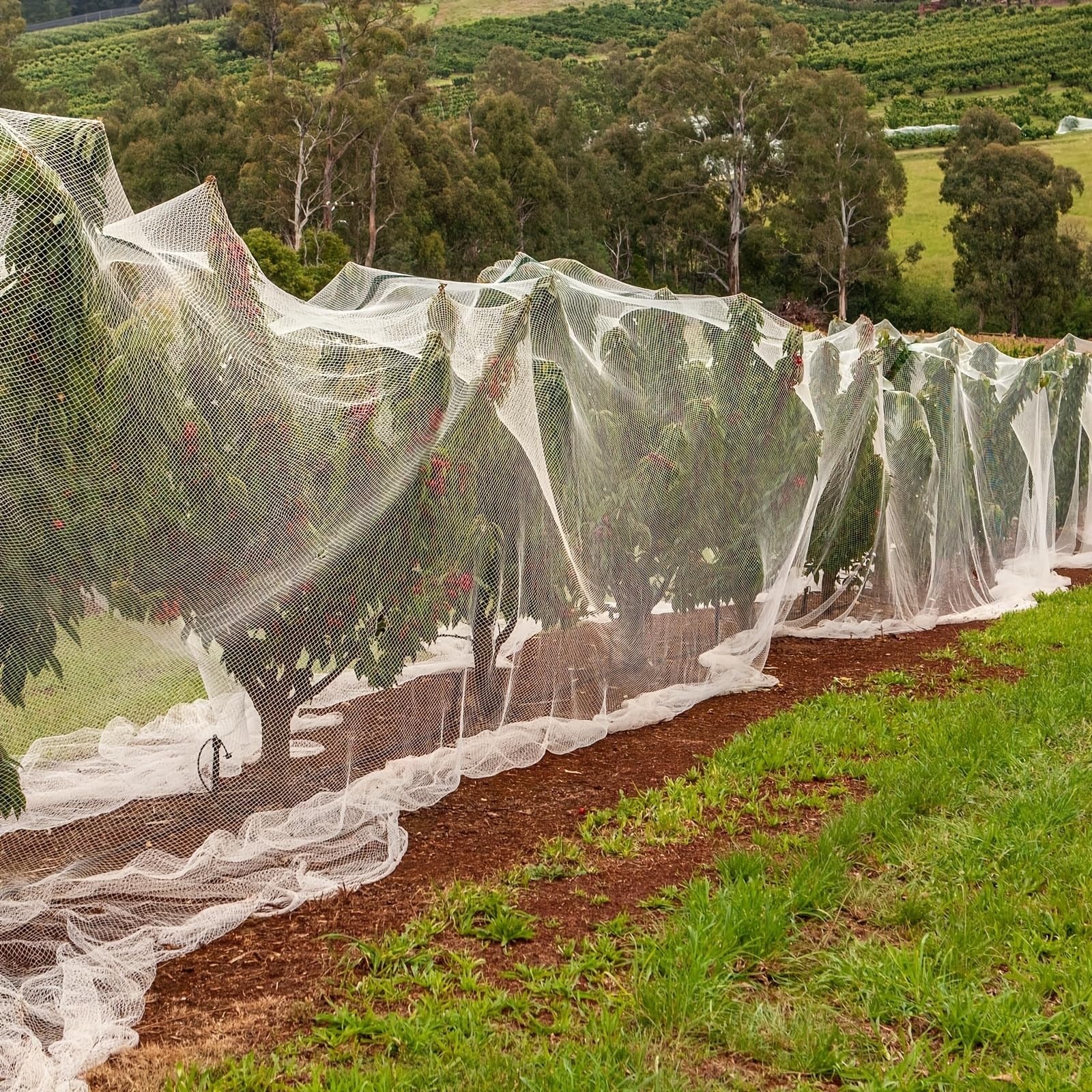 HASTHIP 2.5*5m Ultra Fine Garden Mesh Netting for Plant Protctive, Durable PE Plant Netting Cover for Protect Your Vegetables, Fruits, Flower & Trees, Greenhouse Cover Protection Mesh Net Covers