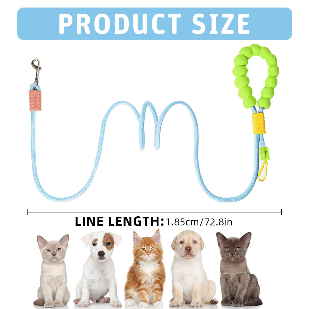 Qpets 5ft Dog Leash with 360 Degree Swiveling Alloy Attachment Buckle Nylon Woven Dog Leash No Pull Dog Leash with Soft Padded Handle & Extra Attaching Carabiner
