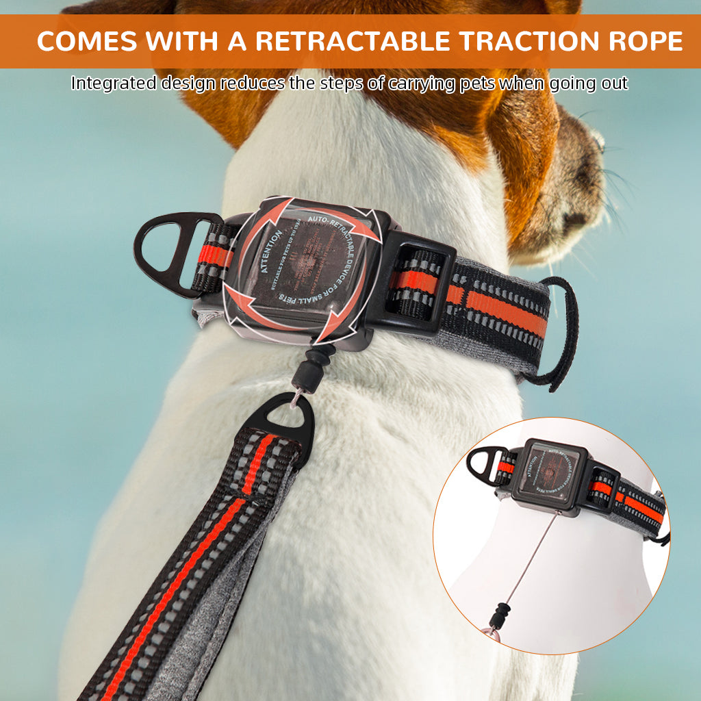 Qpets Dog Collar 2 in 1 Adjustable Dog Collar with 1.5 Meters Retractable Pull Handle Intergrated Dog Leash Dog Collar Night Safety Reflective Dog Collar for Small Medium Dog, Suitable for 10-25kg