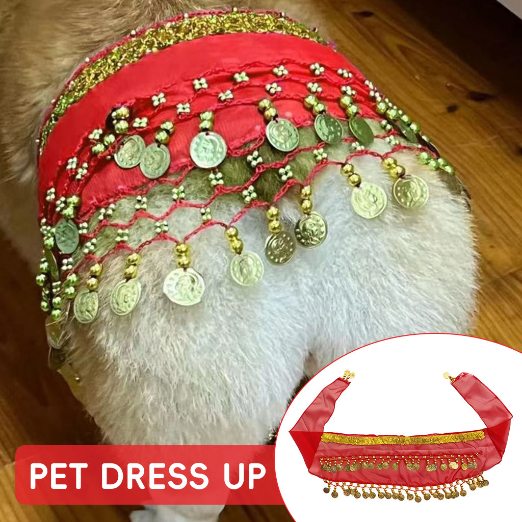 Qpets Dog Skirt, Belly Dancer Skirt for Dogs, Belly Dance Hip Scarf Fun Dog Costume for Party Silver Tassels Coins Sash for Dog Costume Party Prop