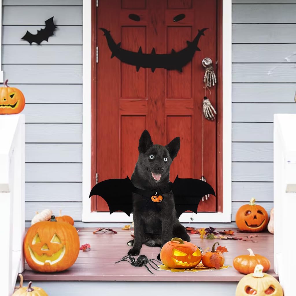 Qpets Dog Costume, Bat Wing Costume for Cat Puppy Bat Wing Collar with Bell Halloween Pet Costume Adjustable Hoop and Loop Closure Halloween Party Favor Dress Up for Cat Puppy, Size M