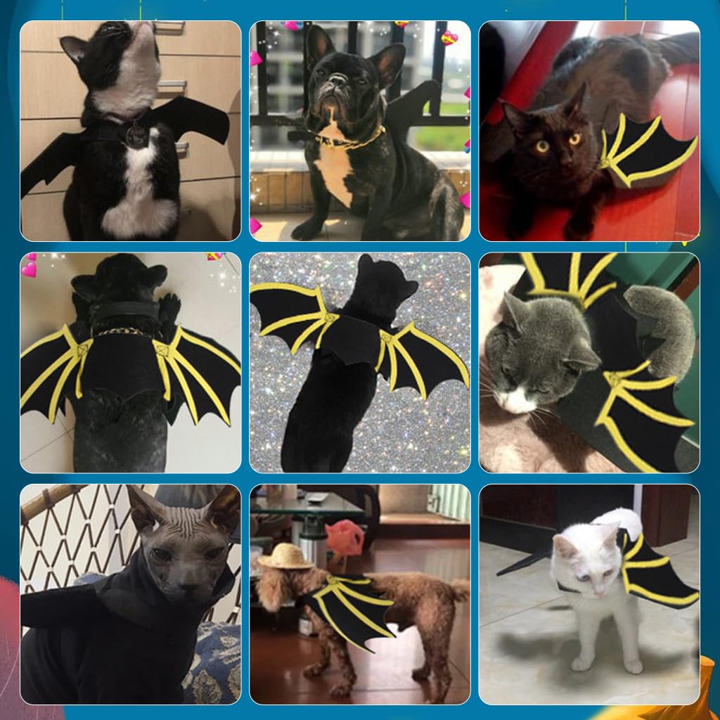 Qpets Dog Costume, Bat Wing Costume for Cat Puppy Bat Wing Collar with Bell Halloween Pet Costume Adjustable Hoop and Loop Closure Halloween Party Favor Dress Up for Cat Puppy, Size M