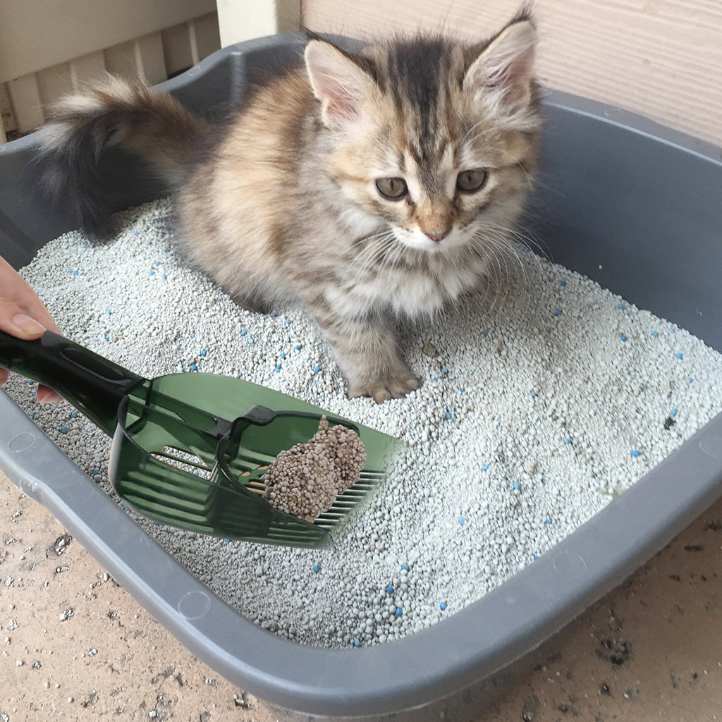 Qpets Cat Litter Scoop, Plastic Cat Litter Scoop Retractable Push Shovel Design Cat Litter Scoop Sieve Cat Litter Cleaning Scoop