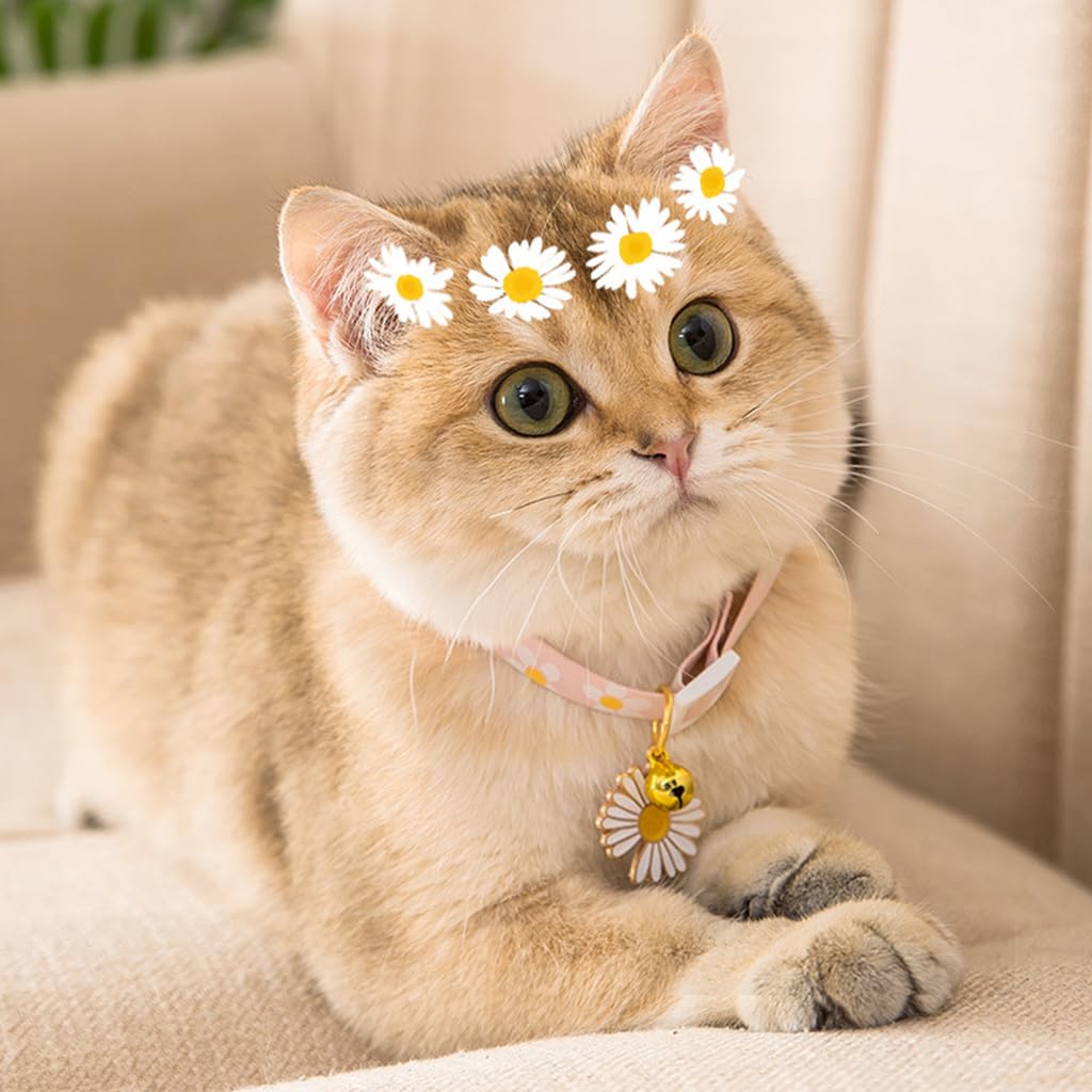 Qpets Cat Collar Cotton Cat Collar with Daisy Flower Charm Quick Release Buckle Design 18-32cm Adjustable Cat Collat Cute Pink Floral Print Cat Collar