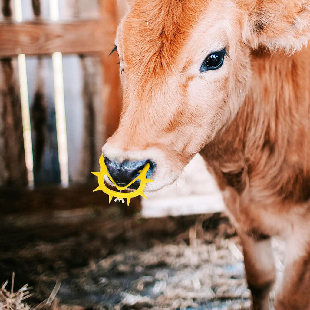 HASTHIP 4Pcs Cattle Weaning Ring Spiky Weaning Nose Ring for Cattle Durable Plastic PVC Removable Screwing Fix Adjustable Weaning Nose Rings