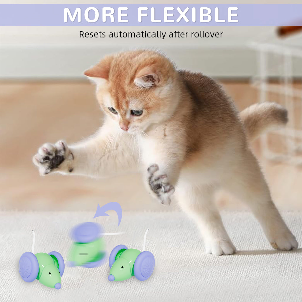 Qpets Cat Mouse Toys, Interactive Play Toy for Cats, Durable & High-Quality Design, Perfect for Indoor Fun, Lightweight & Safe