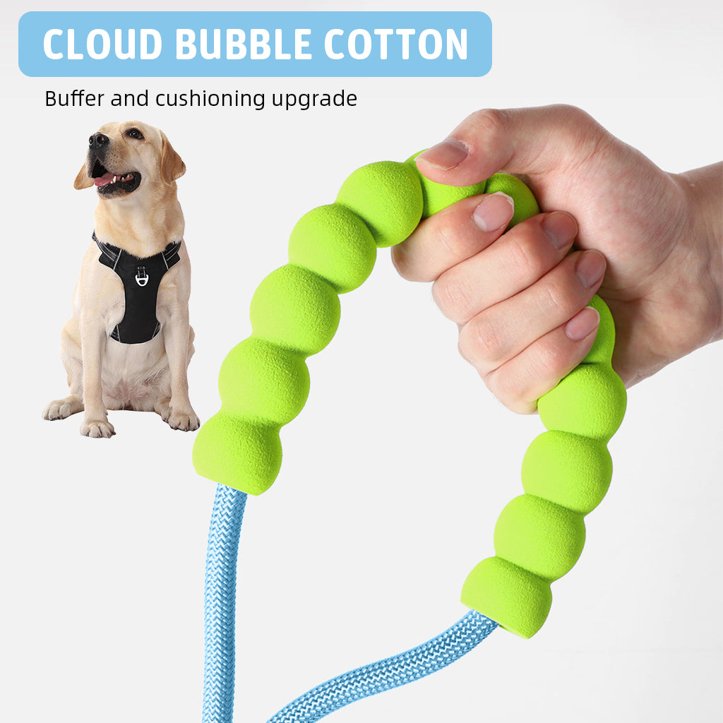 Qpets 5ft Dog Leash with 360 Degree Swiveling Alloy Attachment Buckle Nylon Woven Dog Leash No Pull Dog Leash with Soft Padded Handle & Extra Attaching Carabiner