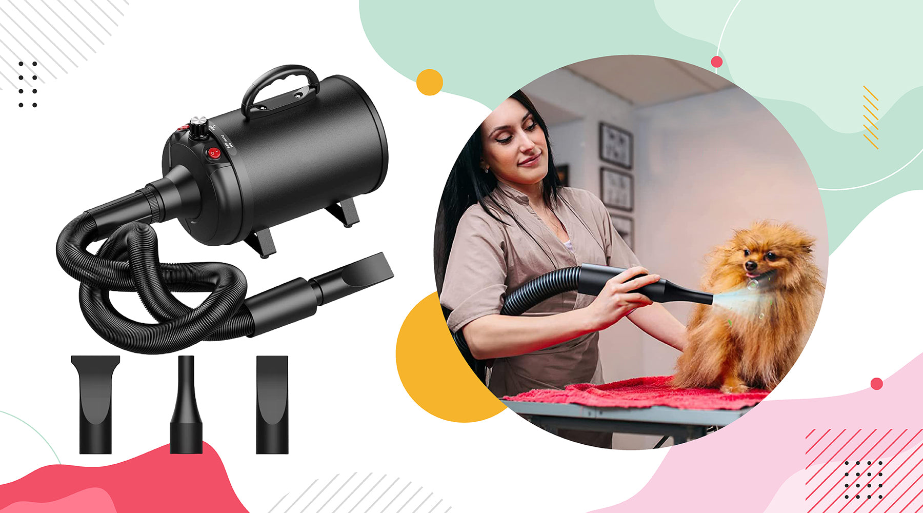 Choosing the Best for Your Furry Friend- Dog Hair Dryer
