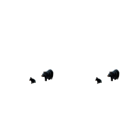 HASTHIP® 5D Diamond Painting Kit 27.5 X 15.7inch Large Size Black Bear for Adults DIY Full Drill Crystal Rhinestone Arts and Crafts Art Home Wall Decor 2 PCS