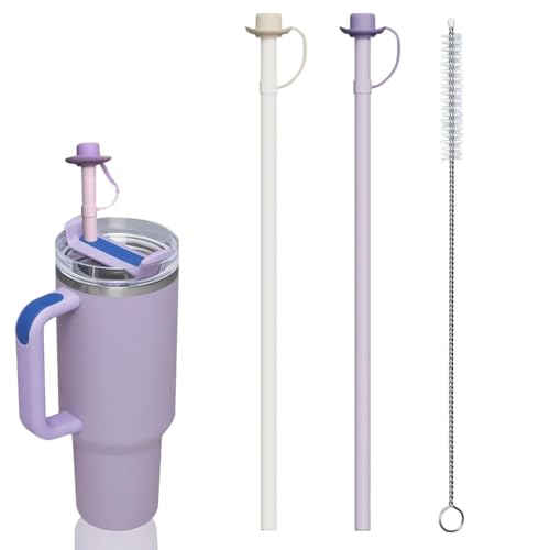 HASTHIP® 2Pcs Silicone Straws with Caps, Replacement 12 inch Long Silicone Straw - Stocking Stuffers for Adults Men Women Teens Gifts, Reusable Straw Compatible with Stanley 40&30 oz Cup