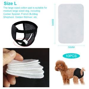 Qpets Dog Diapers for Female Dogs with 9 Absorbent Cotton Pads and Elastic Waist | Washable Mesh Fabric Comfort Fit 15.7–19.2 in