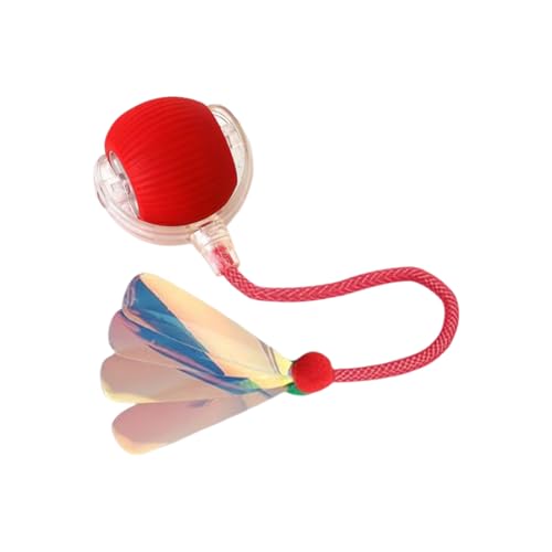 ZIBUYU® Interactive Cat for Indoor Cats