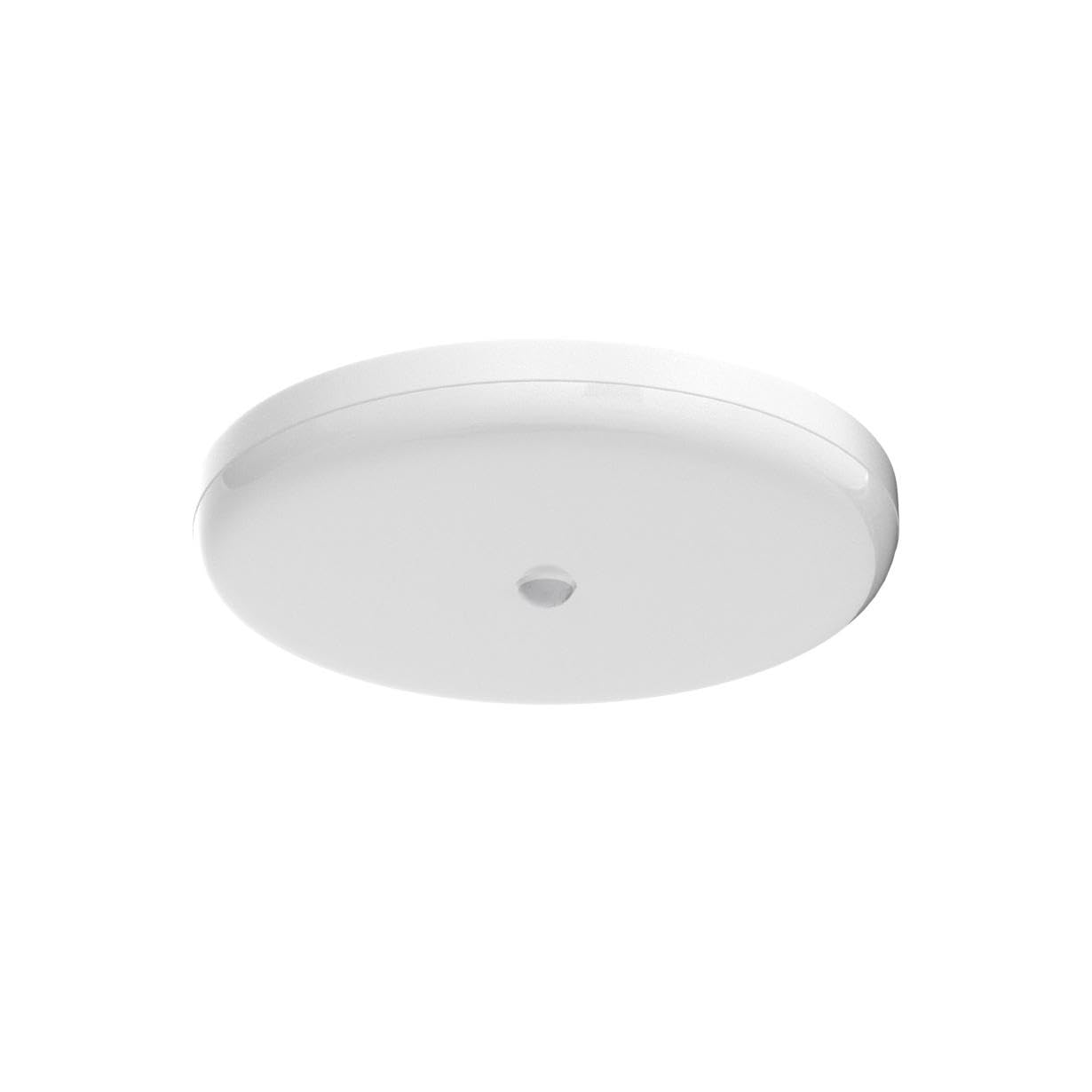 ELEPHANTBOAT Smart Induction Ceiling Light for Living Room featuring 30W 9.8 in 6500K White | IP56 Waterproof LED Fixture