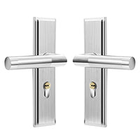 HASTHIP® Heavy Duty Door Lock, Main Door Lock Set with 3 Keys, Mortise Keyed Lever Mount Latch with Deadbolt for Screen and Storm Doors, Satin Nickel, Style C