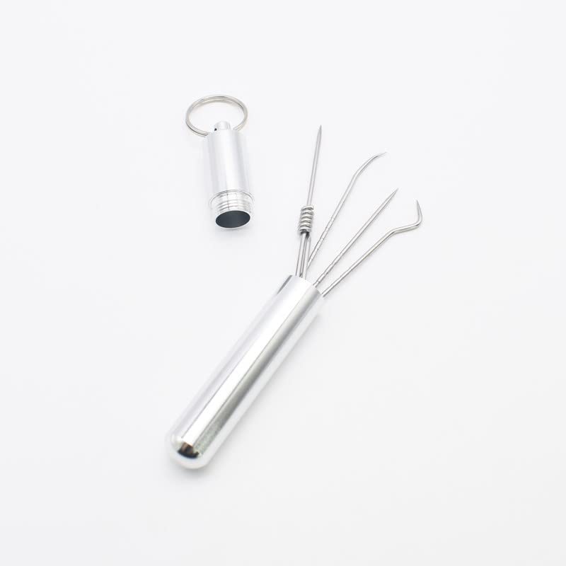ZIBUYU Stainless Steel Toothpicks Set for Travel with Ergonomic Handle and Case | 4 Piece