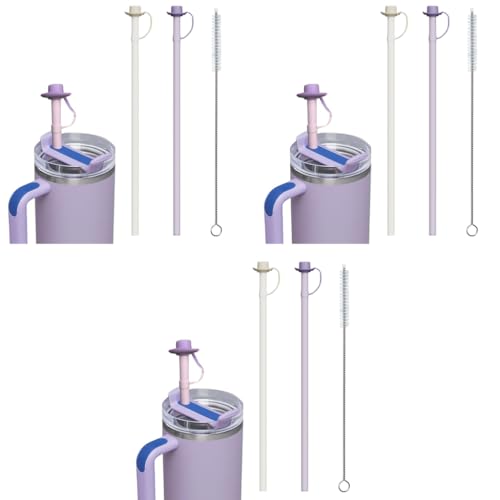 HASTHIP® 6PCS Silicone Straws with Caps Replacement 12 Inch Long Reusable Compatible Stanley 40 30 oz Cup Tumbler Stocking Stuffers Adults Men Women Teens Gifts