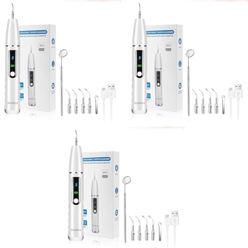 HANNEA® Teeth Whitening Kit Electric Tartar Remover with LED Stain 3 Working Modes Cleaning Kits 4 Stainless Steel Bits Oral Mirror Home Dental Care 3 PCS