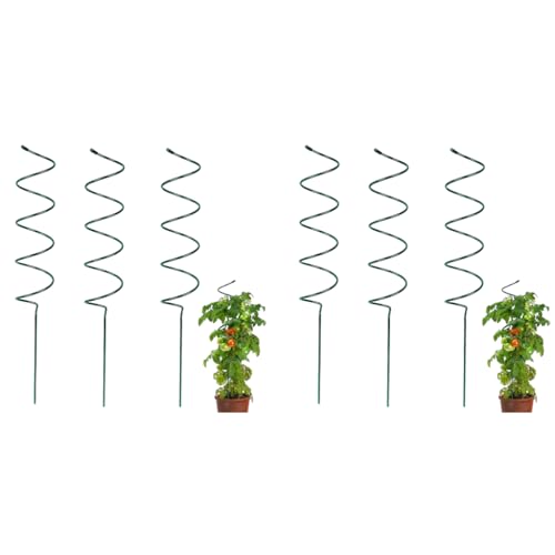 HASTHIP® 6PCS Plant Support Stick 15.75 Inches Spiral Metal Climbing Stakes Upward Growing Stand for Indoor Outdoor Moss Planters Flower Pots