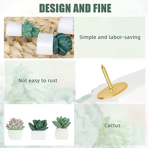 HASTHIP® 40PCS Decorative Push Pins Cute Succulent Plants Colorful Thumbtacks for Home Decor Assorted Resin Pushpins for Photo Wall Cork Board Bulletin Board