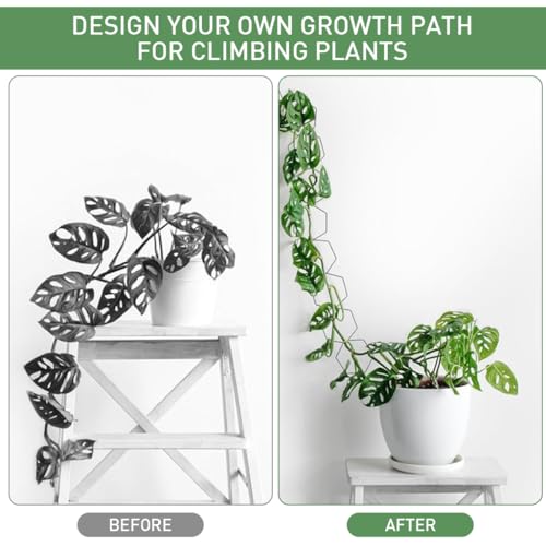 HASTHIP® 36PCS Garden Chain Trellis for Climbing Plants Metal Hexagon Plant Wall Indoor Outdoor Vine Support Modern Houseplant Accessories