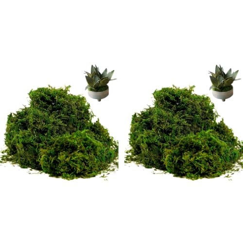 HASTHIP® Realistic Moss for Planter Decorative Fake Miniature Garden Decor 200g Dark Green 2PCS