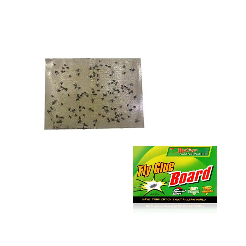 ZIBUYU® Strong Fly Stickers, 20 Sheets Green, Indoor Fly Trap Paper, Extra Strong Flying Insect Glue Sticker, Non-Toxic Biodegradable Pest Control for Home/Kitchen/Plants, 18.5x12.8cm