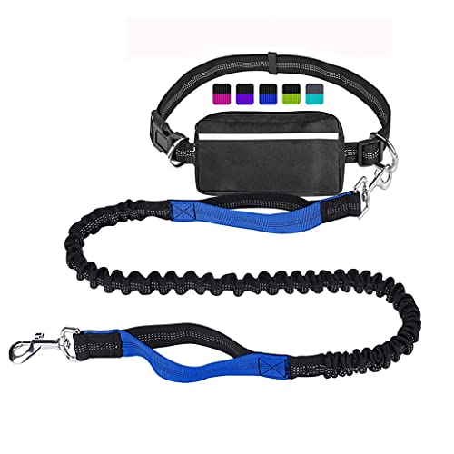 Qpets® Hands Free Dog Lead for Running Walking Training Hiking, Dual-Handle Shock Absorbing Reflective Bungee, Adjustable Waist Belt and Pouch, Ideal for Medium to Large Dogs for Running, Walking Dog