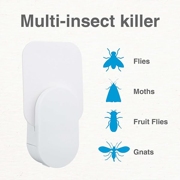 HASTHIP Fly Trap Light for Mosquito and Fruit Flies with 8 Sticky Cards and UVA Attractant