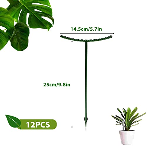 HASTHIP® 10pcs Plant Stakes Suport, Reusable Palstic 30cm Plant Stake Flower Support Stake Rings, Adjustable Plant Support Sticks for Phalaenopsis Orchid Single Stem Flowers Amaryllis Peony Lily