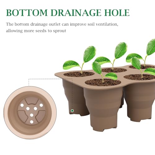 HASTHIP® Silicone Seedling Germination Tray Seed Starter for Home Gardening Microgreen Growing with 6 Cell Reusable Greenhouse for Plant Seeds Propagation 2 PCS