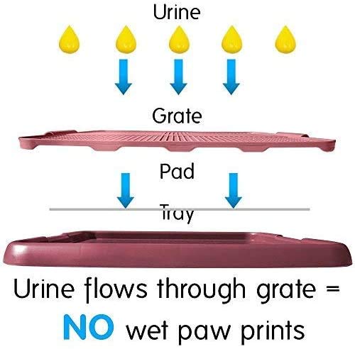 PATPAT Dog Potty Training Tray for Indoor Use with Removable Mesh Grate 19x14 in Blue | Ideal for Puppies and Small Dogs
