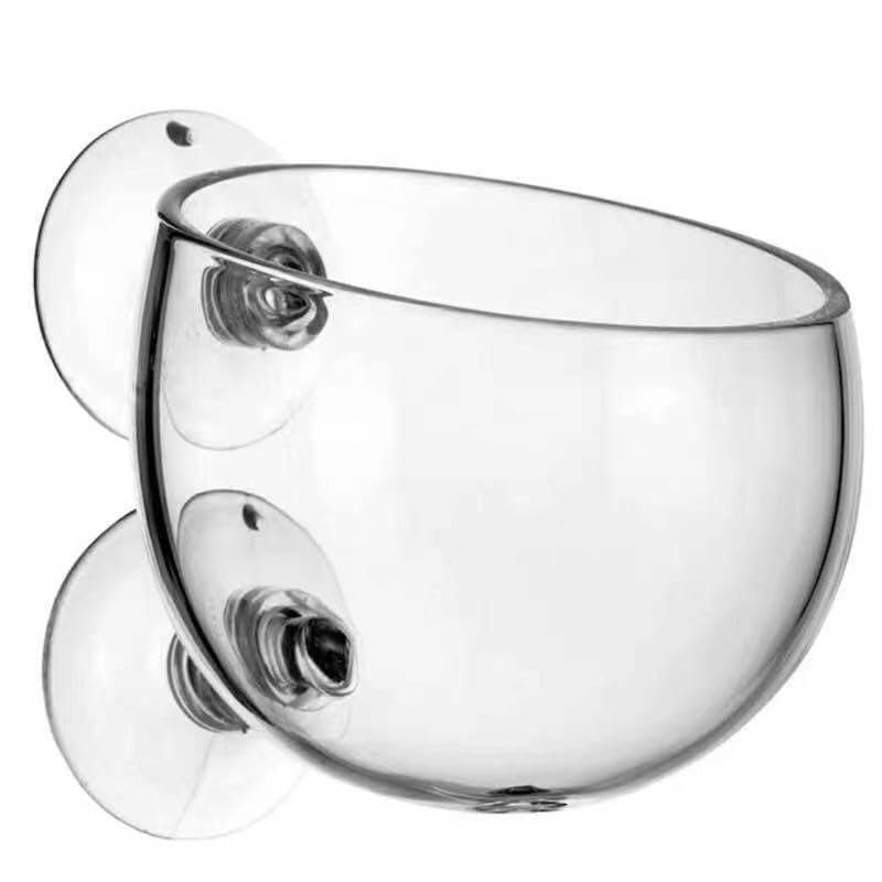 Qpets® Crystal Glass Aquatic Plant Pot