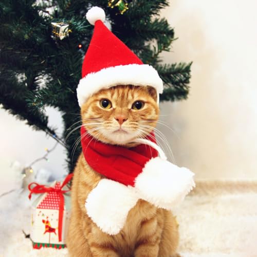 Qpets® Christmas Costume for Cat Red Christmas Hat & Scarf for Cat Christmas Dressing Accessory for Cat Puppy, M