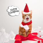 Qpets® Christmas Costume for Cat Red Christmas Hat & Scarf for Cat Christmas Dressing Accessory for Cat Puppy, M