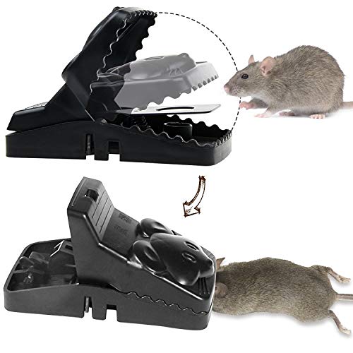 HASTHIP Rat Traps for House and Garden featuring Ultra Fast Trigger | 2 Pcs 17×7.5×7.5 cm Reusable ABS