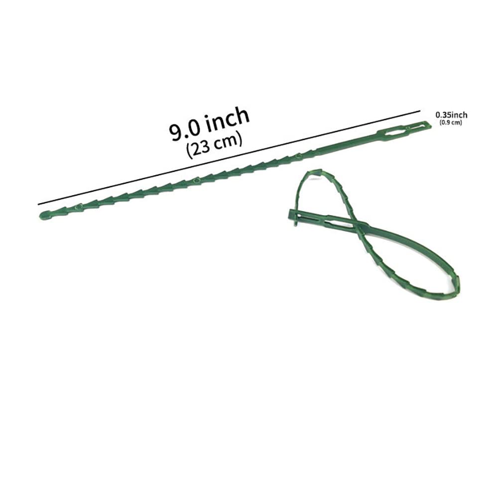 HASTHIP Gardening Plant Ties for Organizing and Labeling | 250pcs 5.9 in Adjustable Nylon