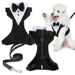 Qpets® Dog Tuxedo Harness, Fashionable Dog Tuxedo Harness Set with Traction Rope and Chest Harness, Dog Vest Pet Suit Holiday Dress Puppy Kitten Wearing, S