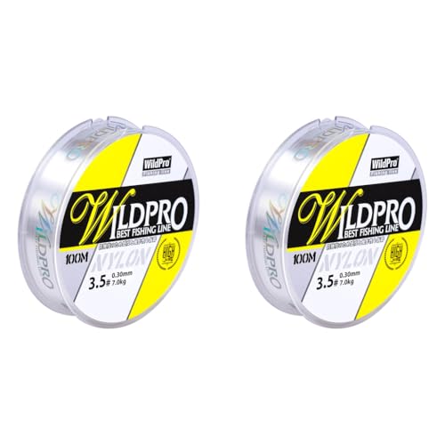 Proberos® Fishing Wire 100m 0.3mm Line Clear Nylon String Invisible Hanging Beading Strong Abrasion Resistant Monofilament 39lbs for Fishing 2PCS