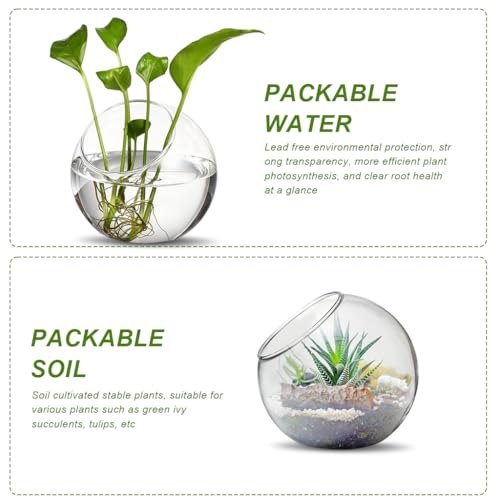 HASTHIP® Plant Terrarium Display Glass Tabletop Succulen