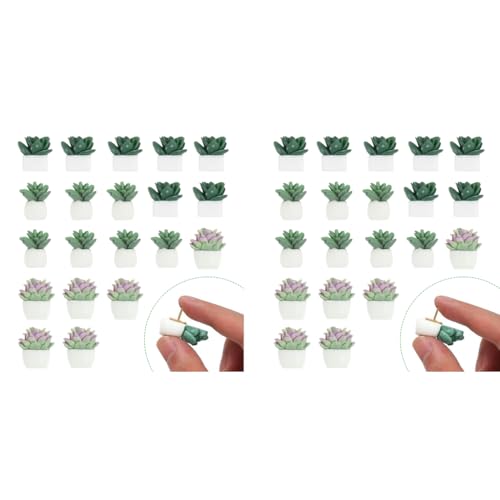 HASTHIP® 40PCS Decorative Push Pins Cute Succulent Plants Colorful Thumbtacks for Home Decor Assorted Resin Pushpins for Photo Wall Cork Board Bulletin Board