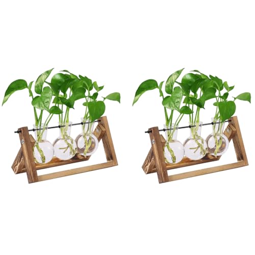 HASTHIP® 3Pcs Hydroponics Glass Planter with Wooden Stand for Desktop Table Decor Home Office, Plant Terrarium, Air Planter Bulb Glass Vase for Propagating Money Plant, Flower and More X 2