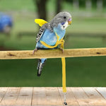 Qpets® Pet Parrot Bird Harness, Anti-bite Outdoor Parrot Bird Flight Safety Belt for Parrot Training, Bird Toys Elastic Rope with Cute Angel Wings for Parrot, Yellow