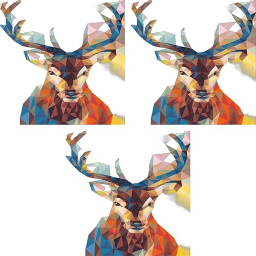 HASTHIP® DIY Oil Painting Acrylic Figures Paint by Number Adult with 3X Magnifier Card Printed Multicolor 3 PCS