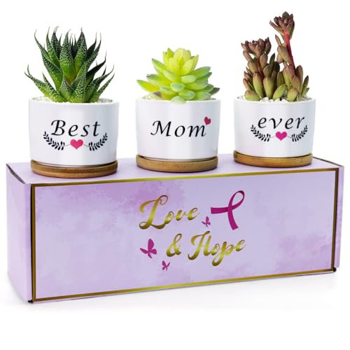 HASTHIP® 3Pcs Ceramic Planters for Succulent with Wooden Tray & Gift Box, 3.1'' Small Ceramic Pot for Balcony Home Indoor & Outdoor, Highly Durable Succulent Pots