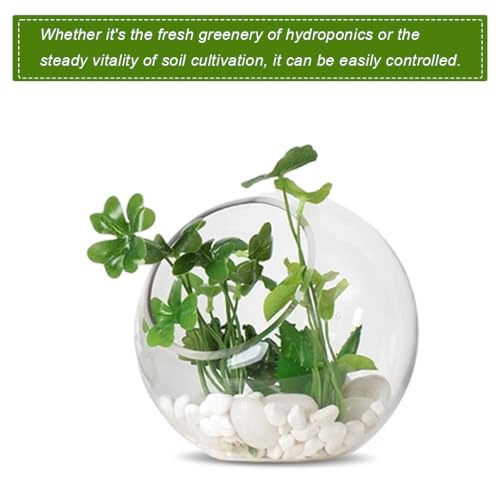 HASTHIP® Plant Terrarium Display Glass Tabletop Succulen