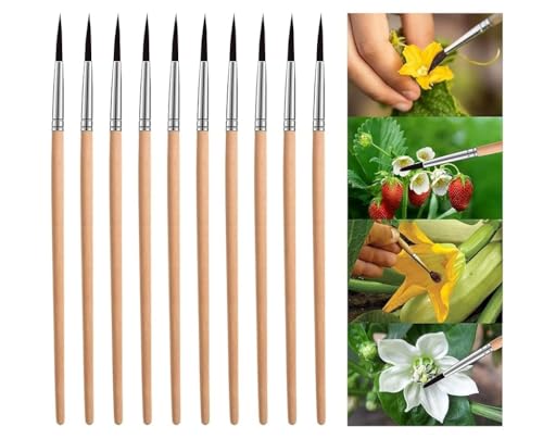 HASTHIP® Pollinating Brush for Improving Pollination