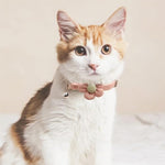 Qpets® Cat Collar Pet Collar Cute Pink Flower Cat Collar with Bell, Lovely Cat Collar Quick Release Adjustable Cat Collar Soft Plush Collar Cat Gift Cat Collar