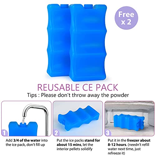 ZIBUYU® Breastmilk Storage Bag with Ice Pack Double Layer Warmer Insulated Strap Fits 6 Ounces Bottles Waterproof Mommy Diaper Bento Box Backpack Purple 3 PCS