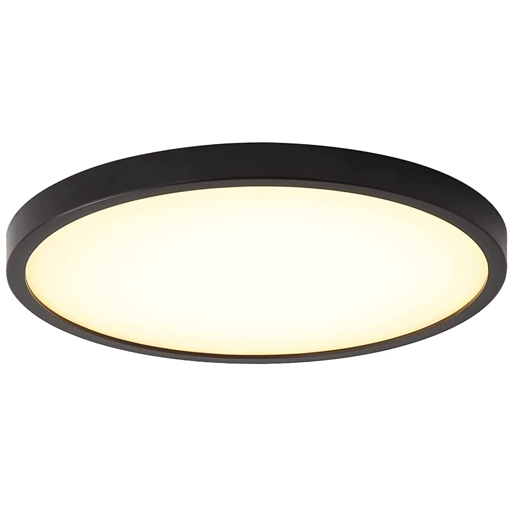 HASTHIP LED Ceiling Light for Living Room with 24W 120pcs Source and 0.83in Ultra Thin Design | Warm 3000K Black Fixture