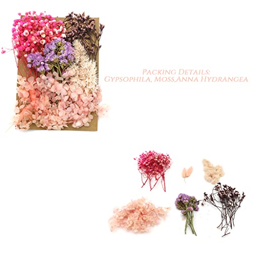 Supvox® Natural Dried Flower for Resin Art Decorative Dried Pressed Flowers for Candle, Handmade Epoxy Crafts, DIY Jewelry Accessories, Photoframe Ornament Dry Flowers